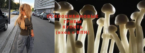 бутират Пересвет
