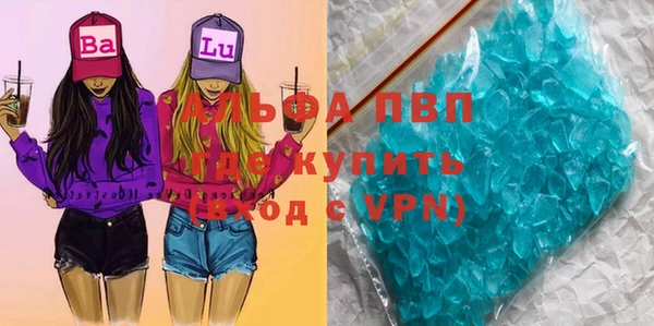 крисы Осташков