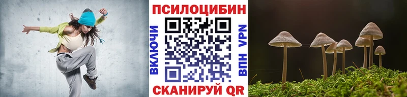 Купить где  Уфа  Галлюциногенные грибы Cubensis 